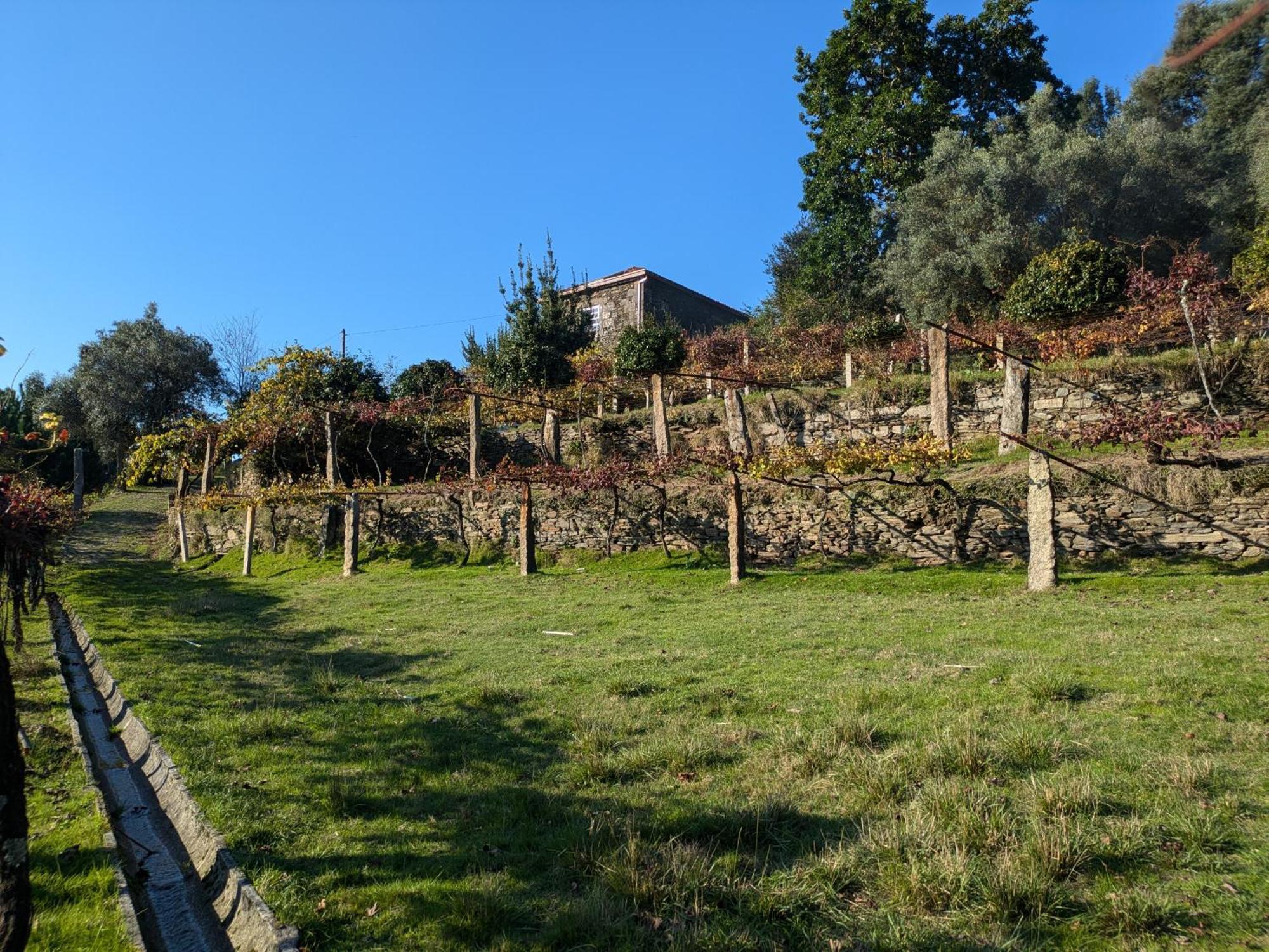 Villa Casa Do Valo à Amonde Extérieur photo