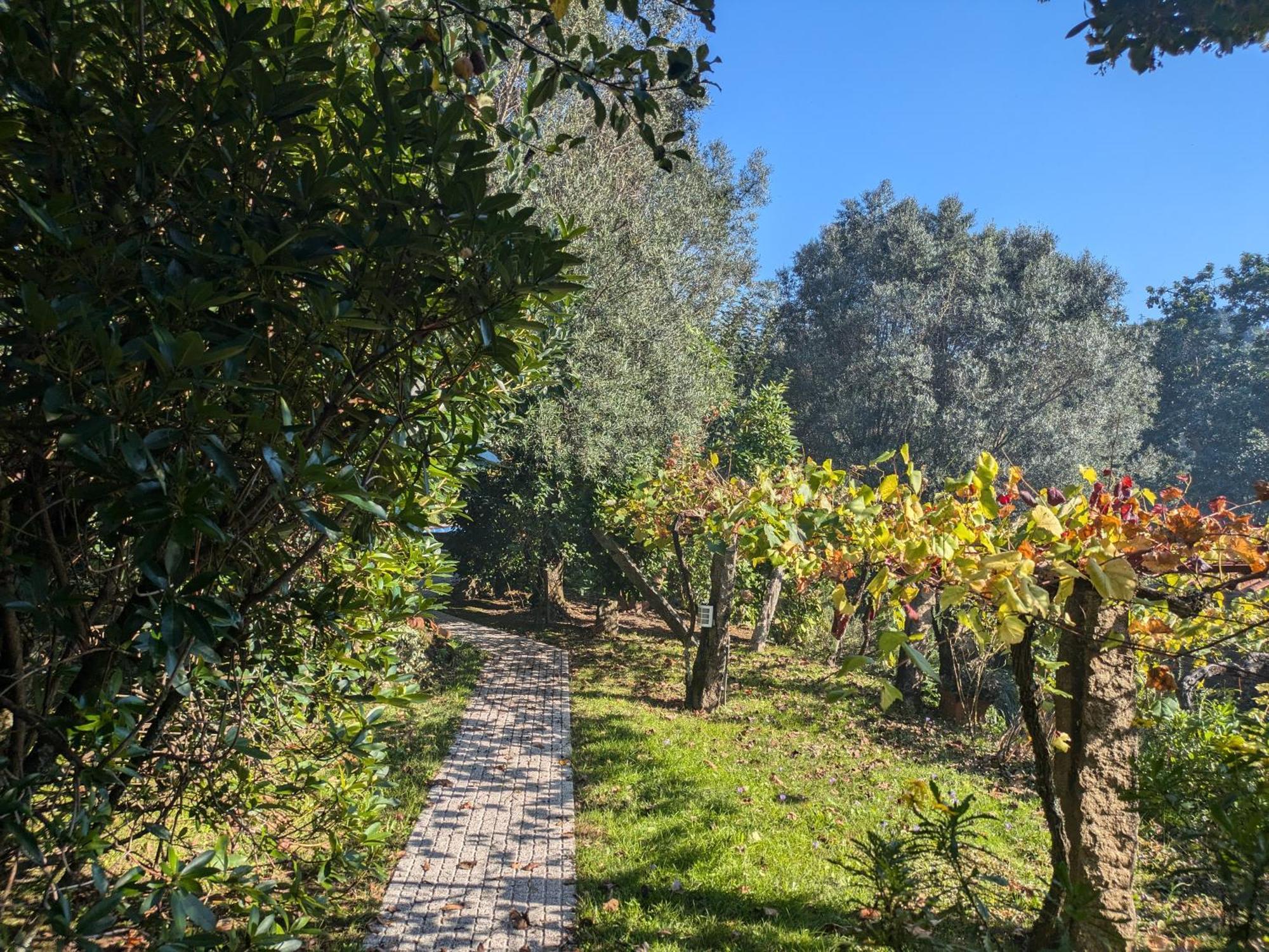 Villa Casa Do Valo à Amonde Extérieur photo